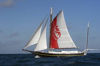 Spray of St Briac